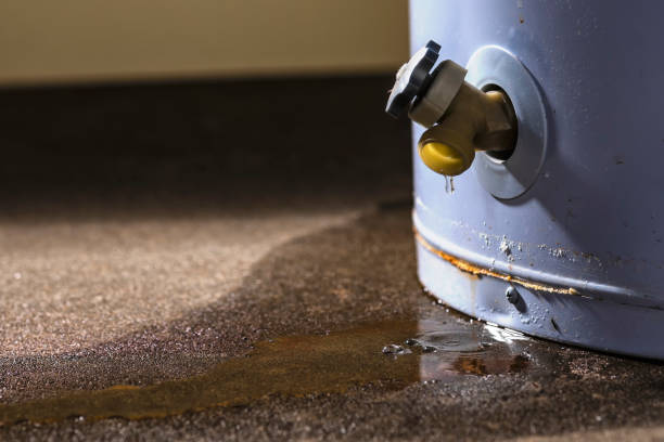 Best Sewage cleanup and water damage restoration  in Scow Mills, MO