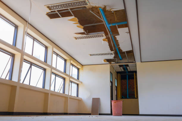 Best Professional water damage repair  in Scow Mills, MO