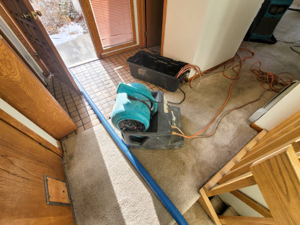 Best Flood damage cleanup  in Scow Mills, MO
